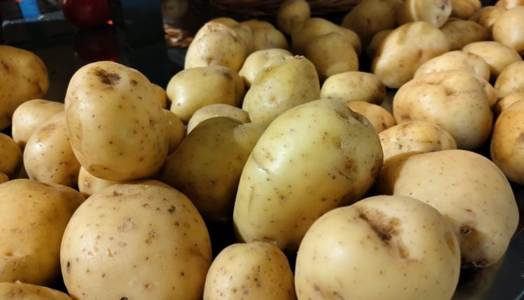A redução foi impulsionada, principalmente, pela queda nos preços de itens essenciais como a batata (-16,09%) Crédito: Arquivo JO