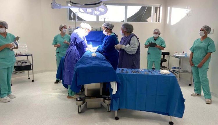 Opera Paraná acelera cirurgias eletivas nos 94 municípios da Macrorregião Oeste Crédito: SESA-PR