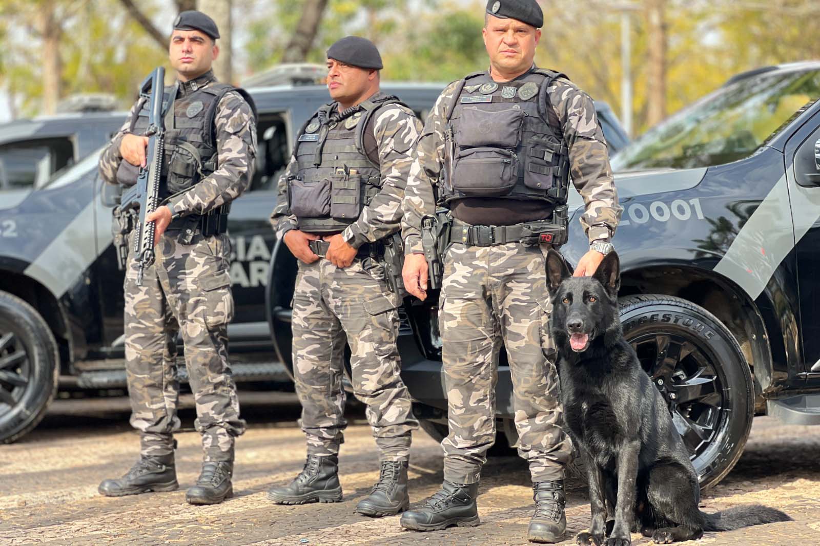 Cãocorrida