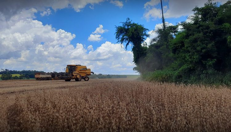 Em Toledo, produtores rurais solicitaram a revisão do Valor da Terra Nua praticado pelo Município Crédito: Sindicato Rural de Toledo