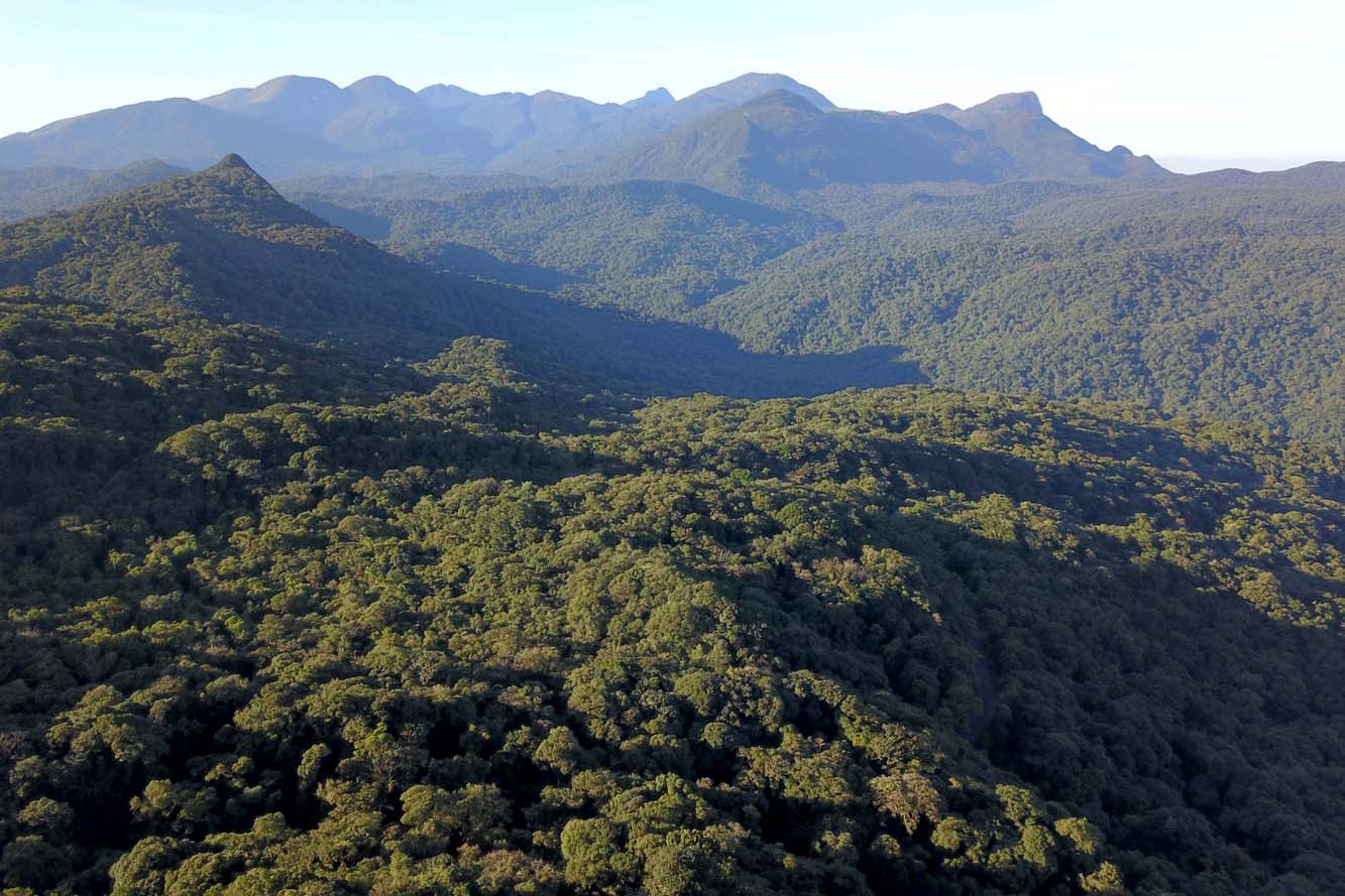 Mata Atlântica
