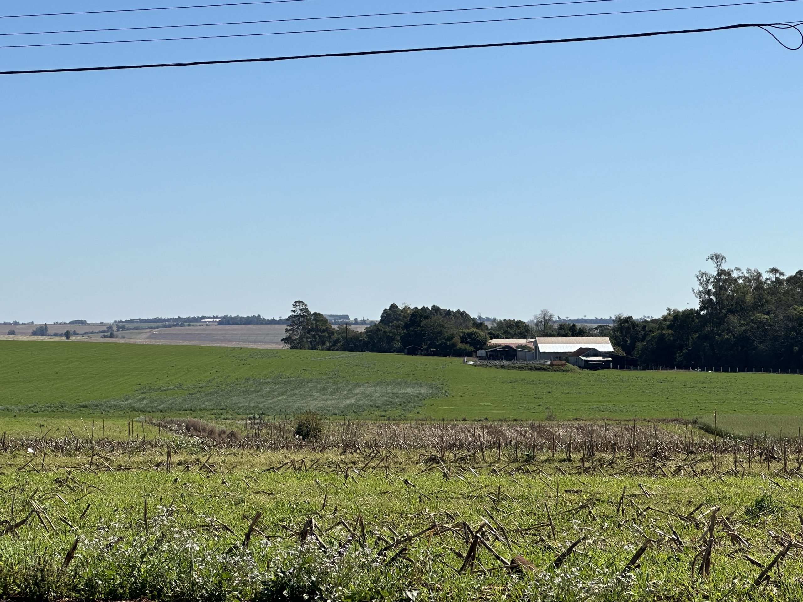 A recomendação ao produtor rural é não deixar para os últimos dias Crédito: Franciele Mota