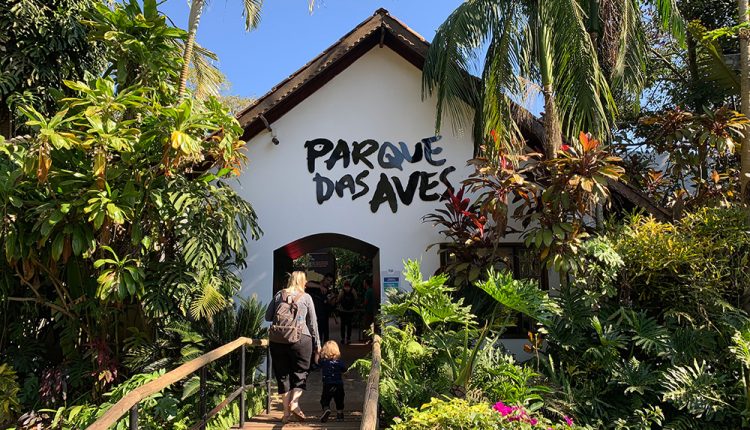Férias em Foz do Iguaçu: atrativos da cidade batem recorde de turistas em julho Crédito: Parque das Aves