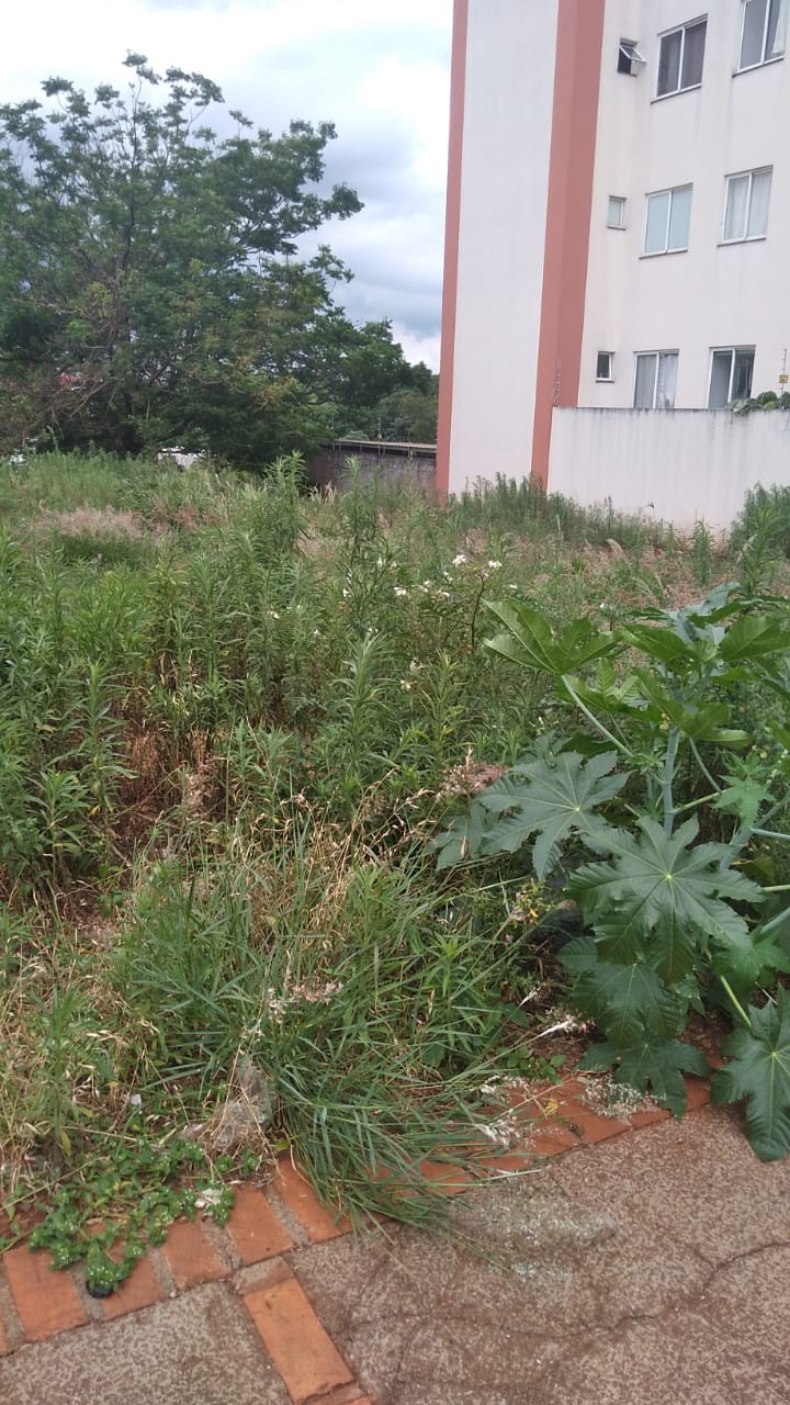 As multas são calculadas de acordo com a metragem do lote Créditos: Arquivo JO