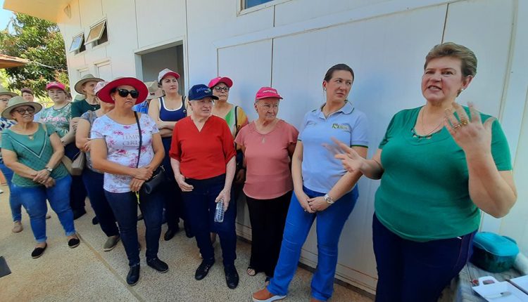 Noemi Rossetto relembra o início da atividade Crédito: Sindicato Rural de Toledo