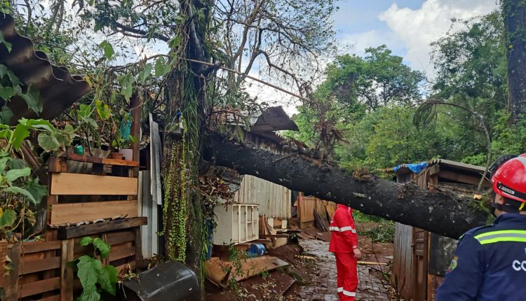 Corpo de Bombeiros do Paraná alerta sobre cuidados diante de fortes chuvas e ventos Crédito: CBMPR