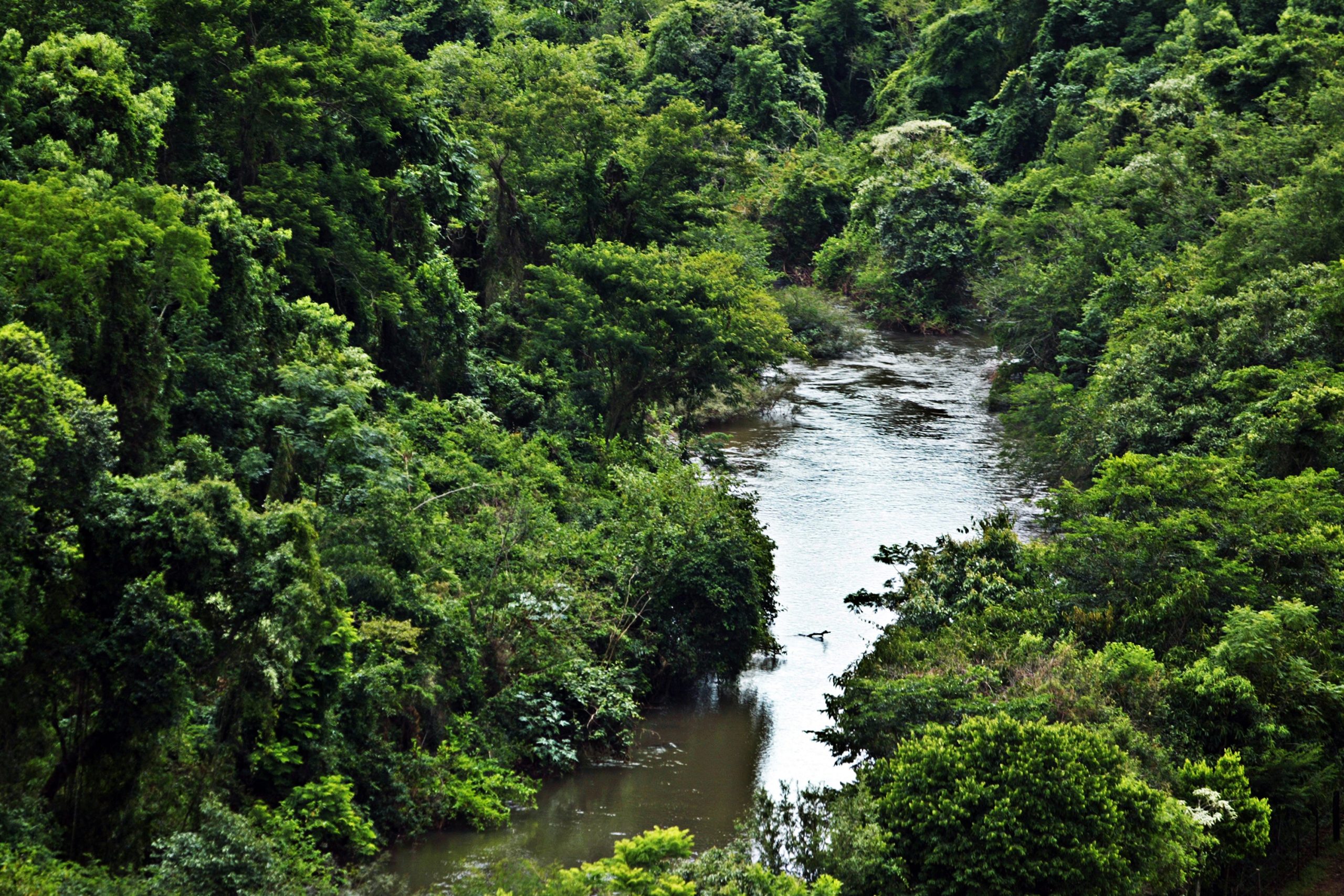 Rios Piquiri