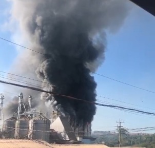 Incêndio no distrito de São Roque foi controlado pelos bombeiros Créditos: Reprodução