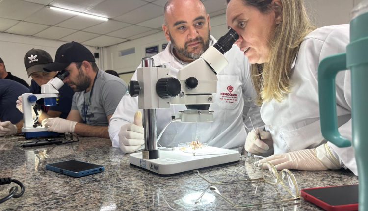 Saúde faz capacitação sobre acidentes com animais peçonhentos no Norte Pioneiro Crédito: SESA