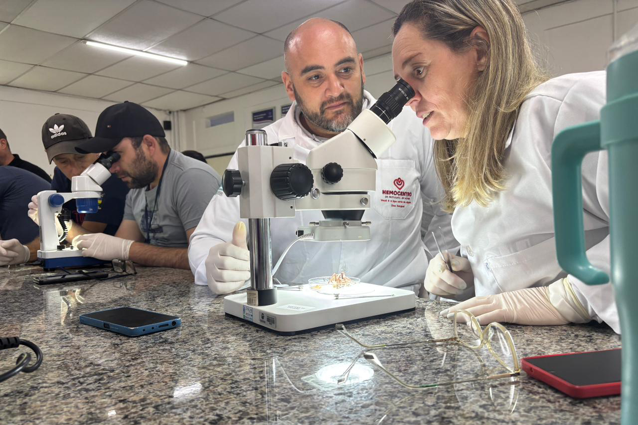 Saúde faz capacitação sobre acidentes com animais peçonhentos no Norte Pioneiro Crédito: SESA