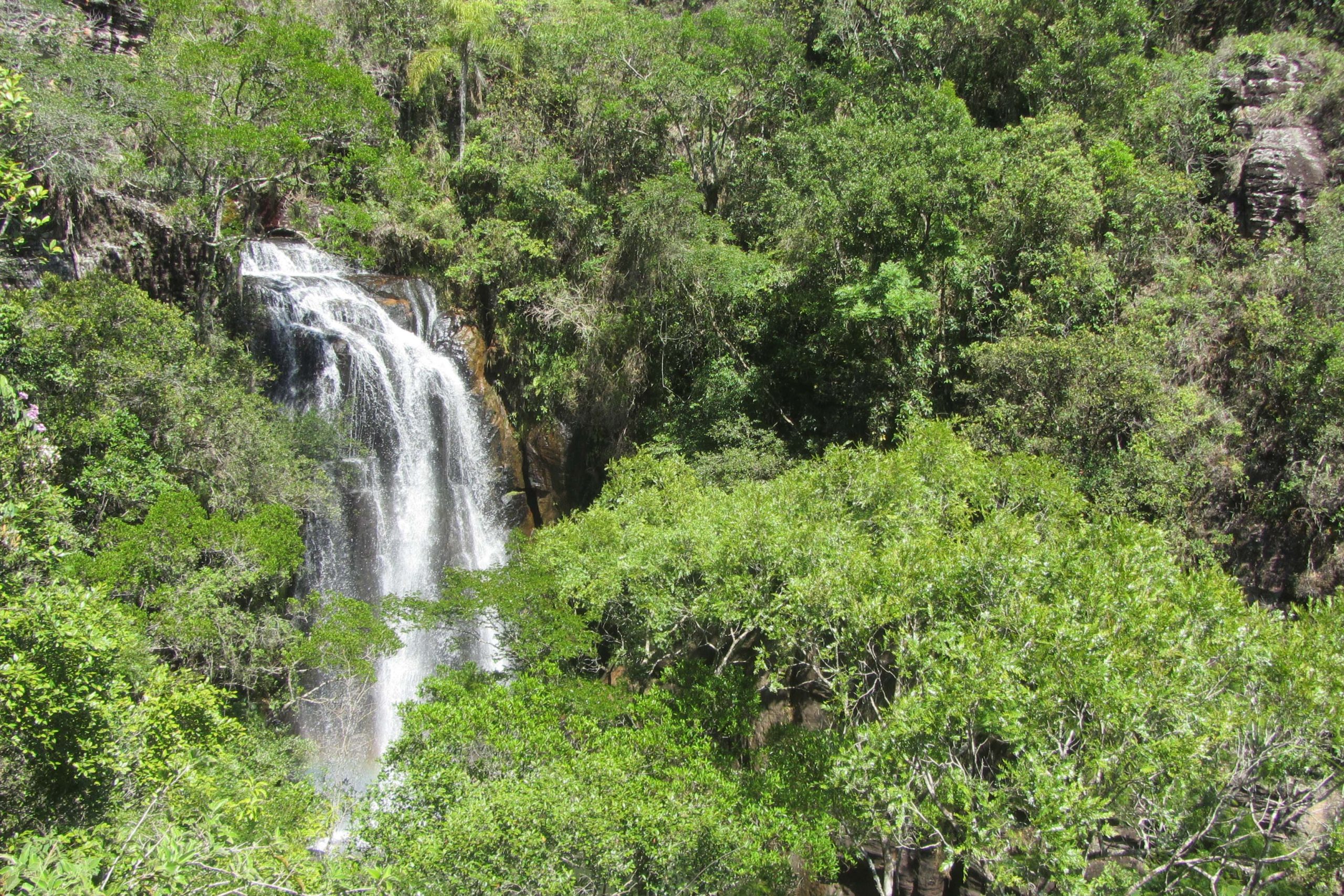 biodiversidade