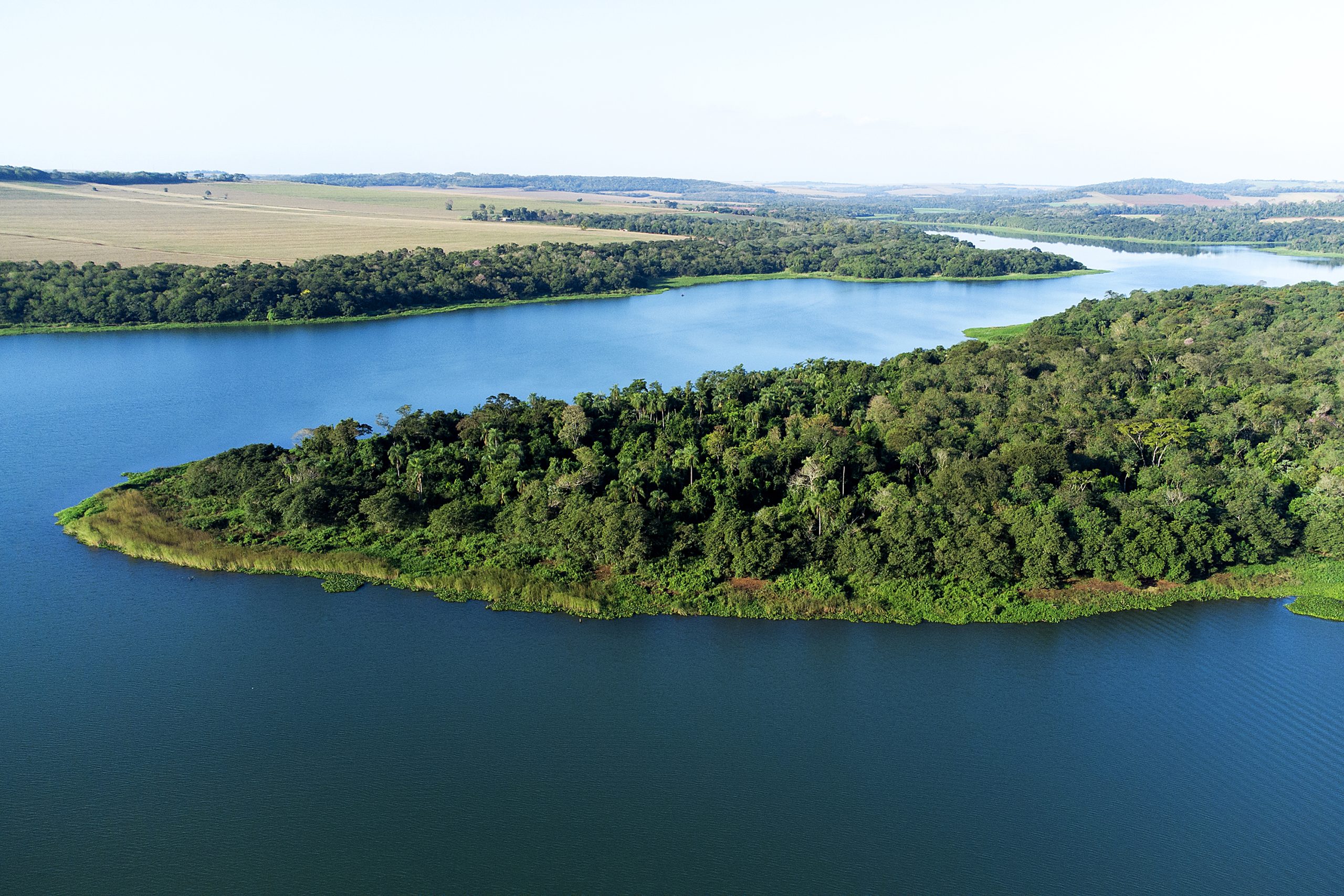 Paraná