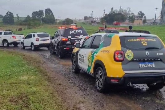 tráfico de animais