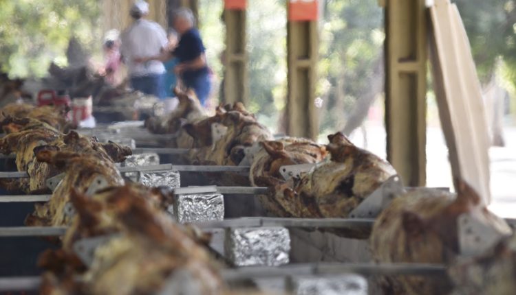 Em Toledo, a tradicional Festa do Porco no Rolete é incentivada pelo programa Paraná +Eventos Crédito: Arquivo JO