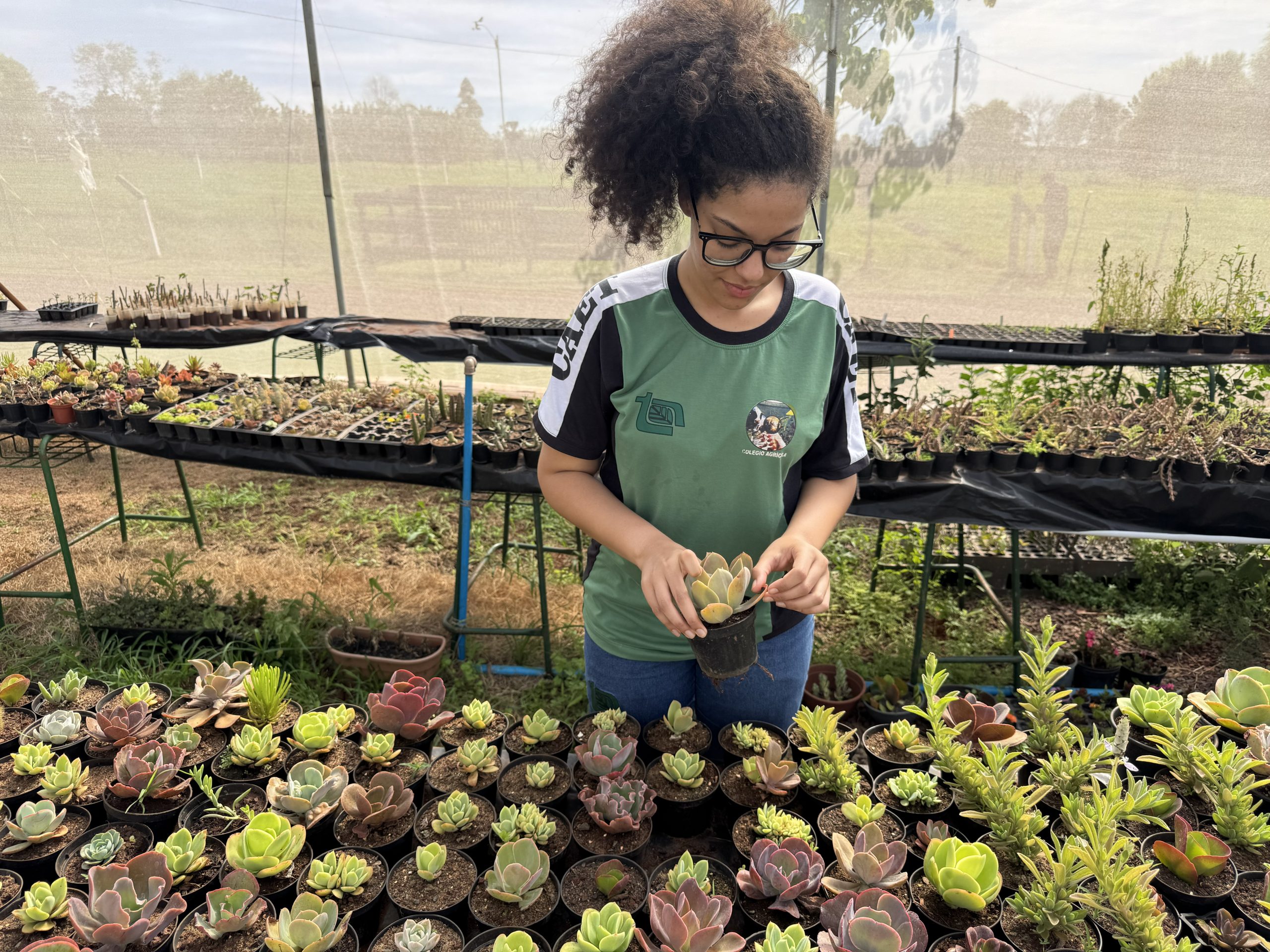 A Mostra Técnica do CAET inicia na próxima quarta-feira Crédito: Graciela Souza