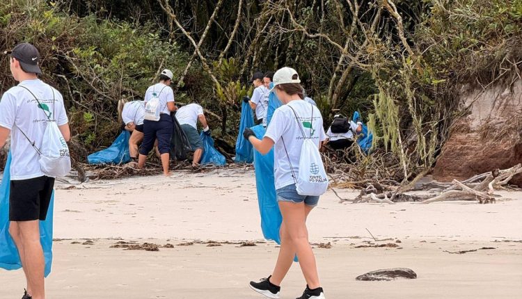 Para garantir a segurança dos quase 1,6 mil voluntários que ajudam na conservação ambiental do Paraná, o Instituto Água e Terra disponibiliza desde 2020 um seguro de vida para todas as pessoas cadastradas nas diferentes frentes de atuação Crédito: IAT-PR