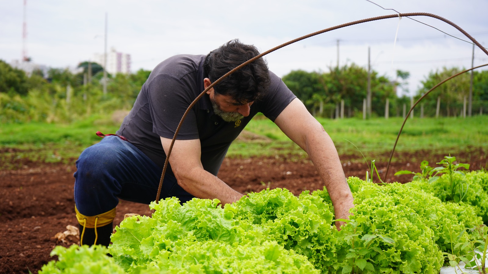 Os alimentos foram entregues à Cozinha Social do Provopar, no bairro Interlagos, onde passaram a integrar as refeições diárias de centenas de famílias Crédito: Prefeitura de Cascavel