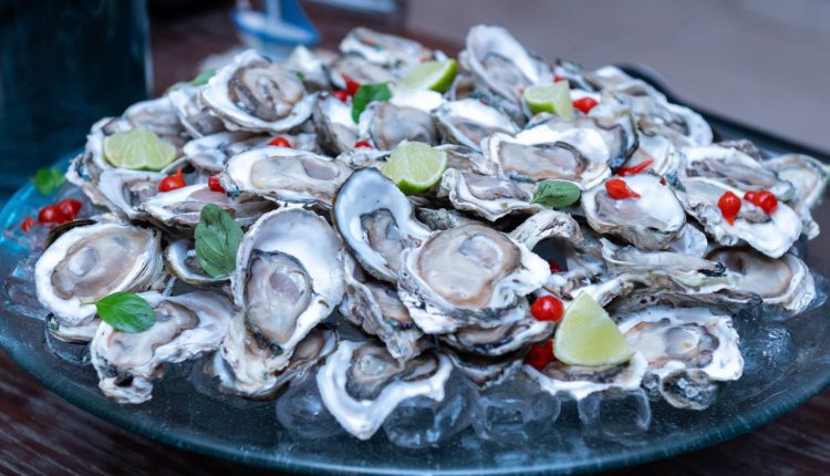 Crédito: Divulgação/Sebrae-PR