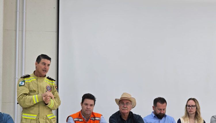 Crédito: Divulgação