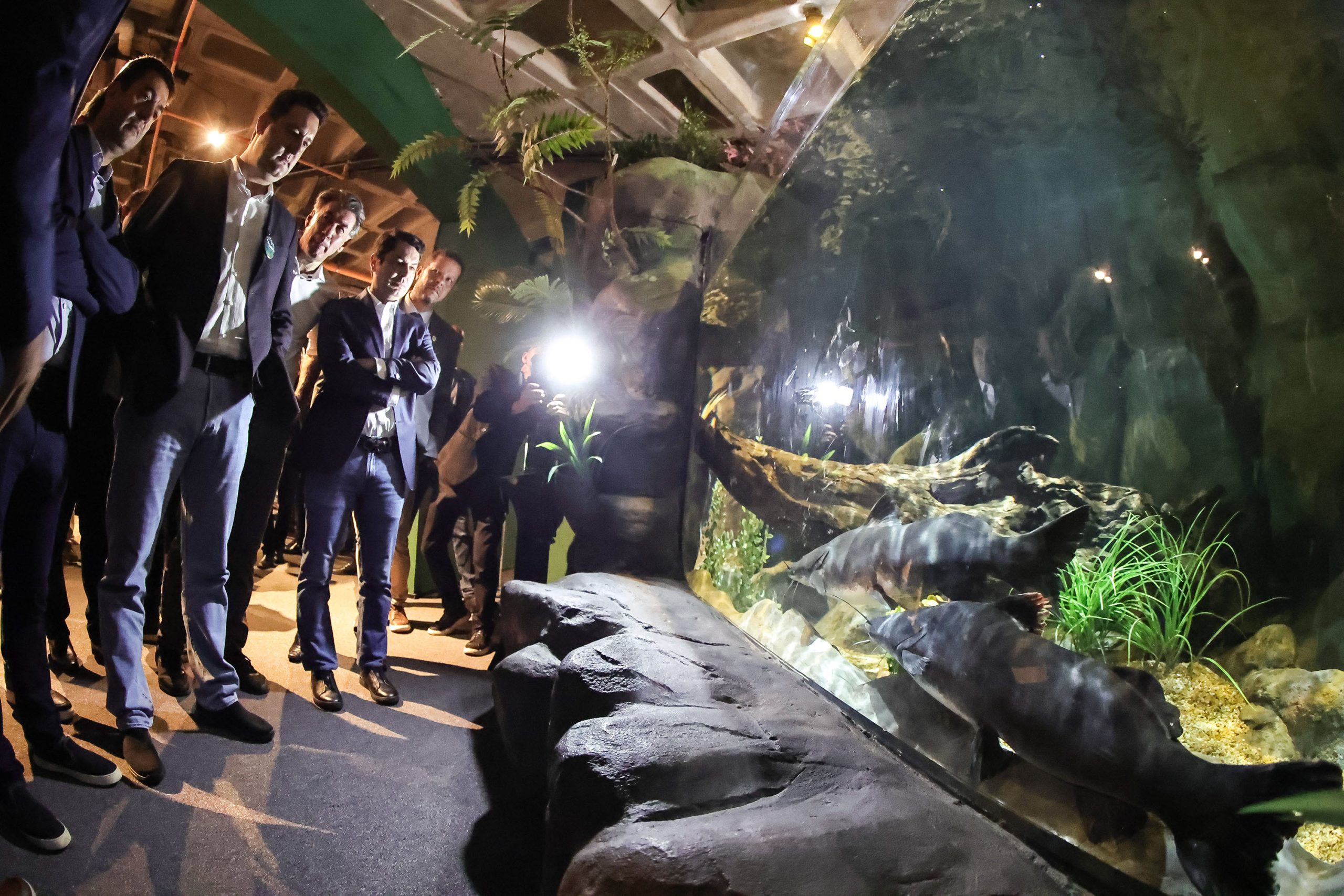 Crédito: Jonathan Campos/AEN