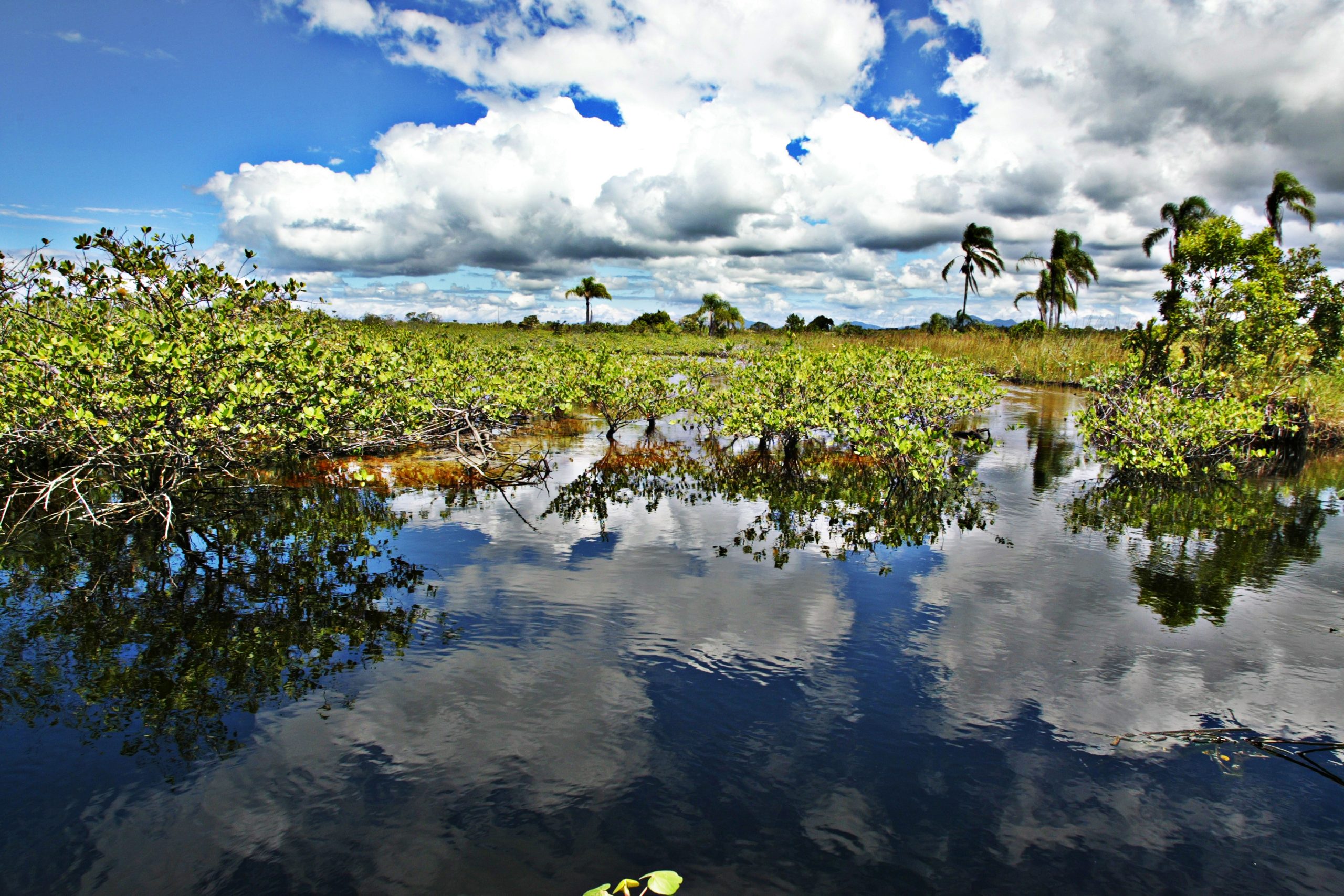 Bacias Hidrográficas