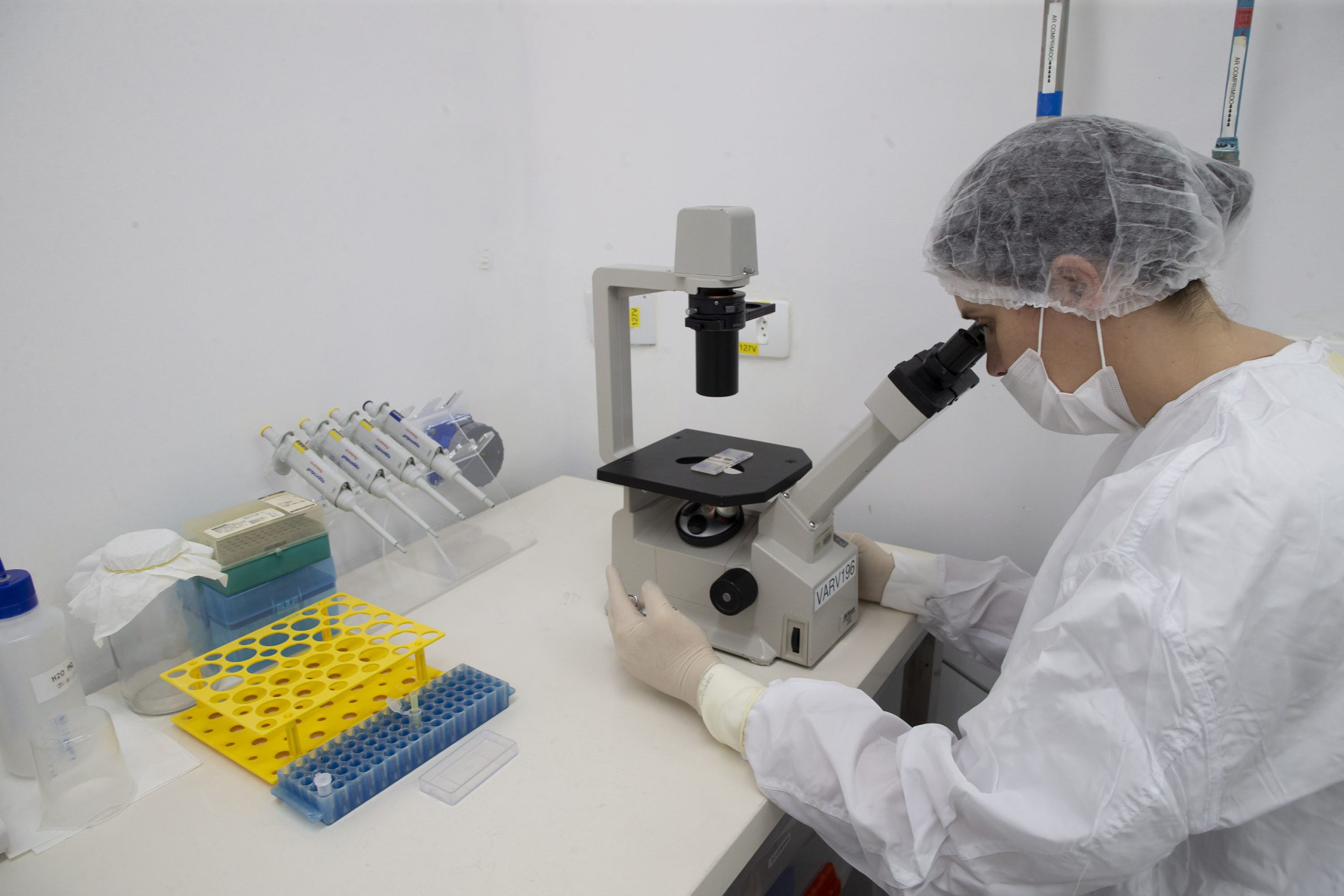 Crédito: Hedeson Alves/TECPAR