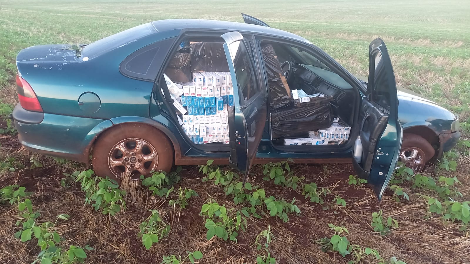 Crédito: Centro de Comunicação Social da PMPR