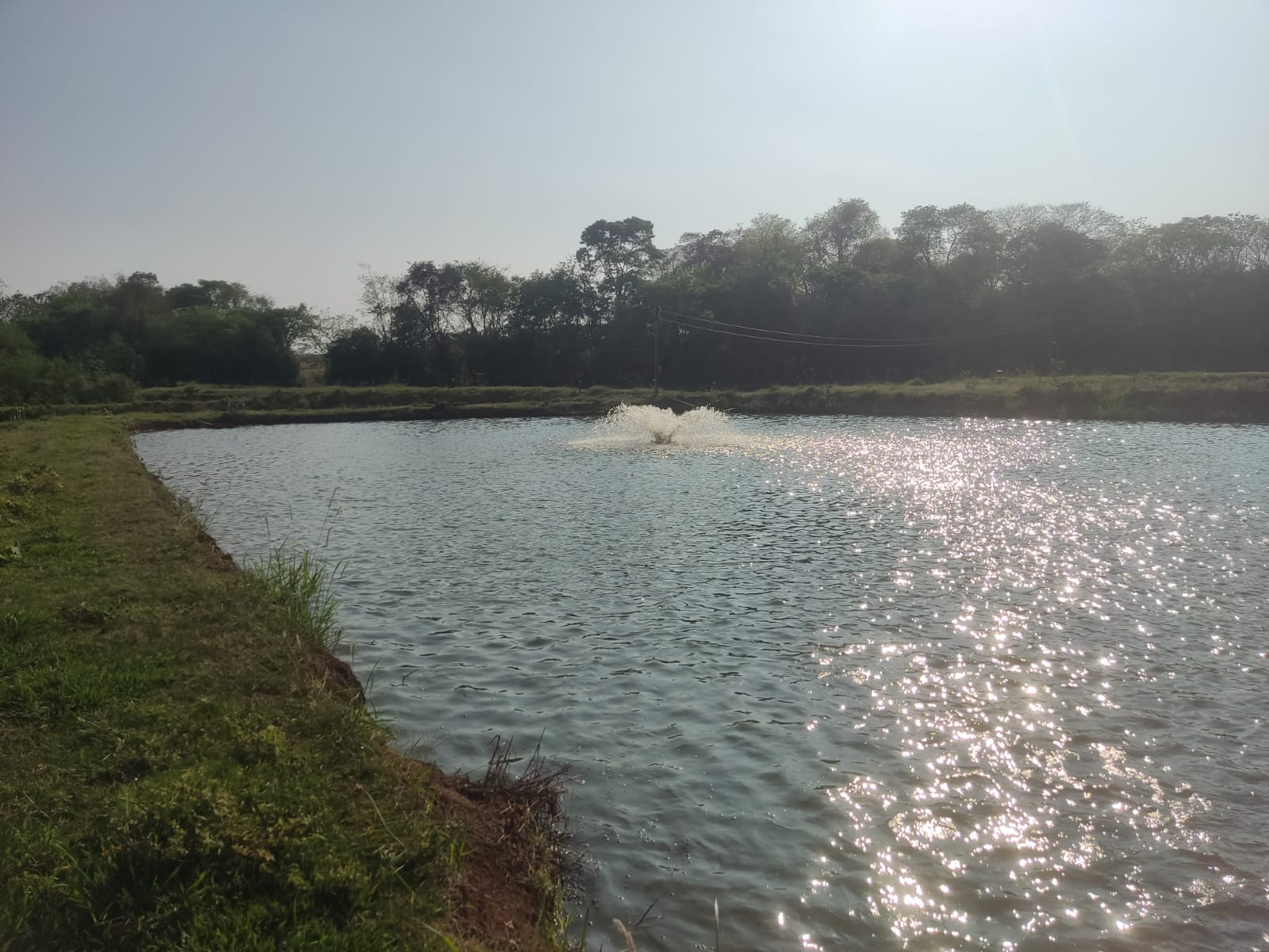 A votação deve ocorrer em janeiro do próximo ano Crédito: Divulgação