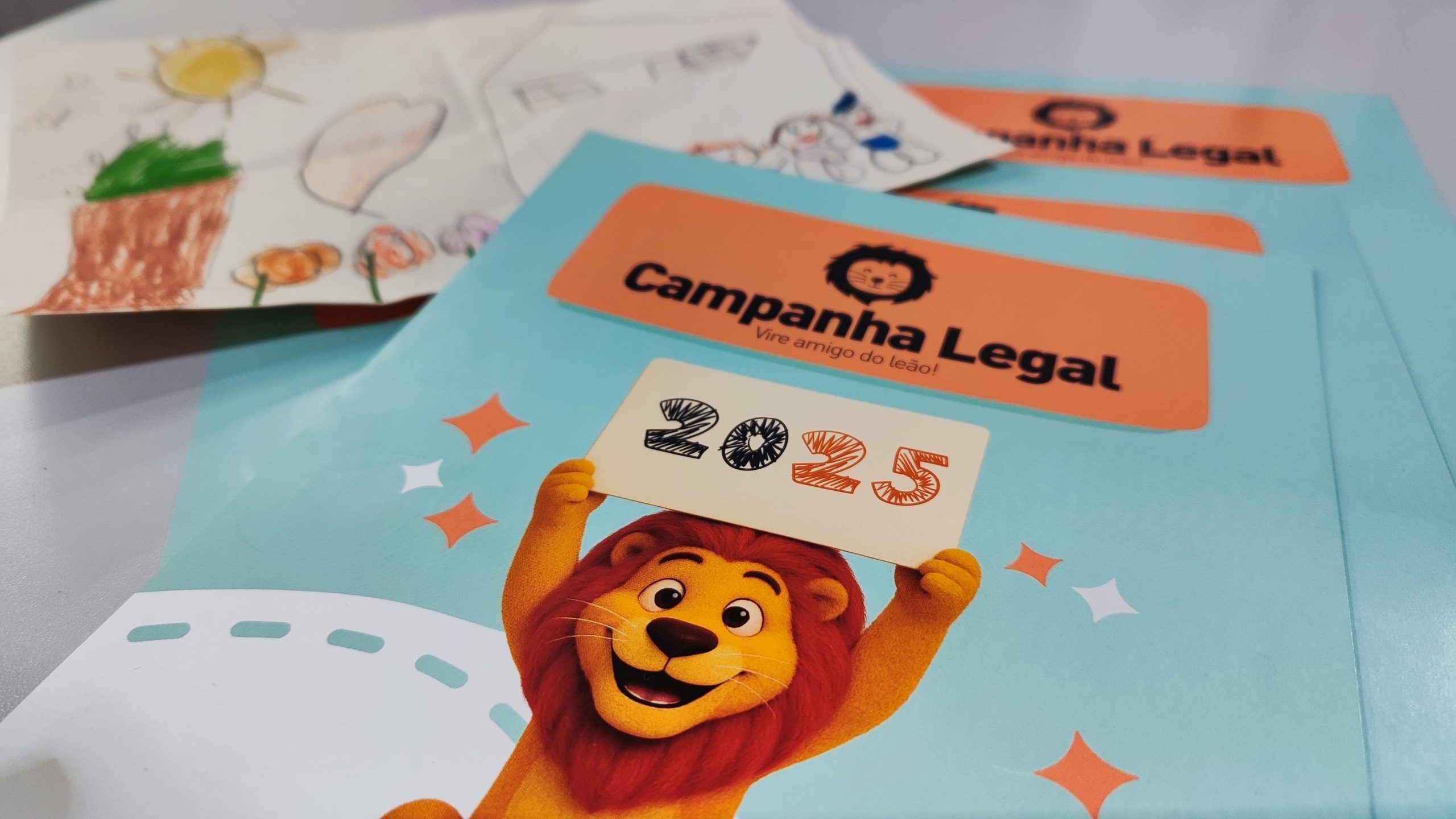 A Campanha Legal é uma maneira de ajudar as entidades beneficentes de Toledo Crédito: Janaí Vieira