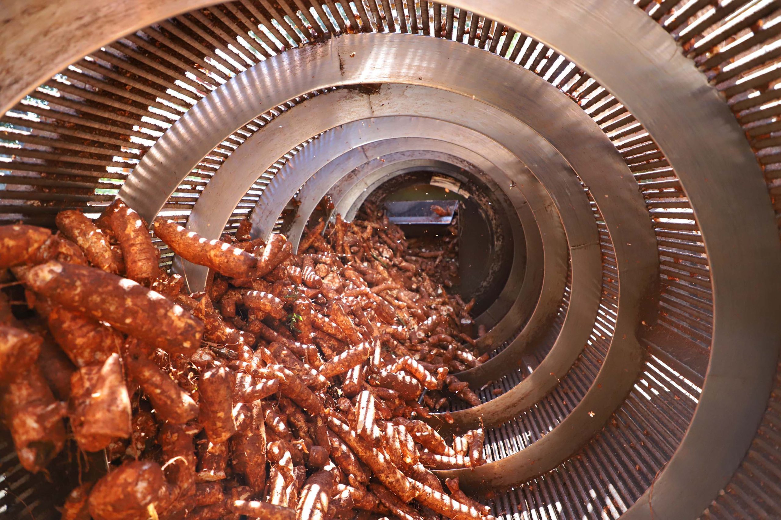 Crédito: José Fernando Ogura/Arquivo AEN