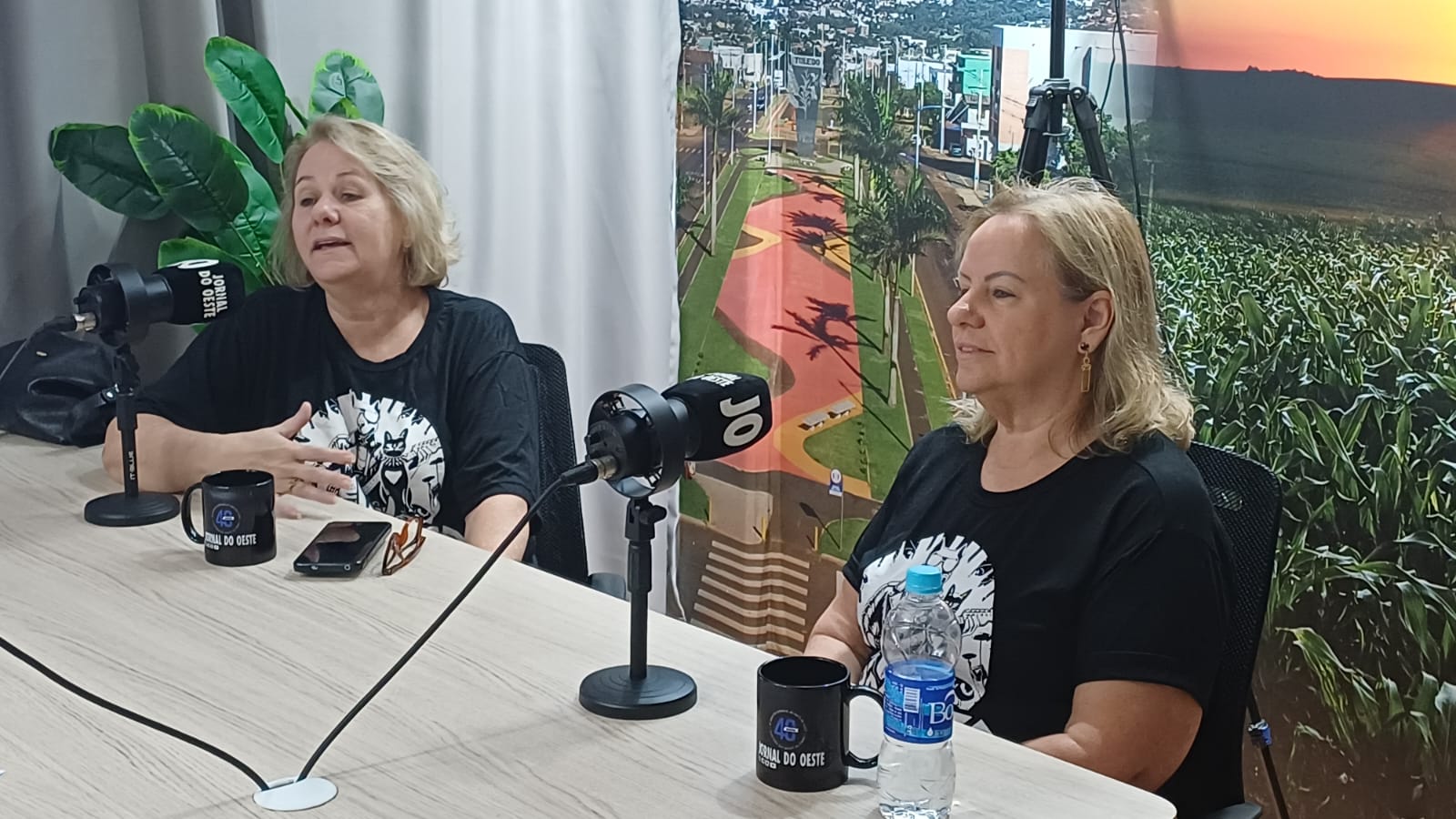 Rockato comemora a 10ª edição