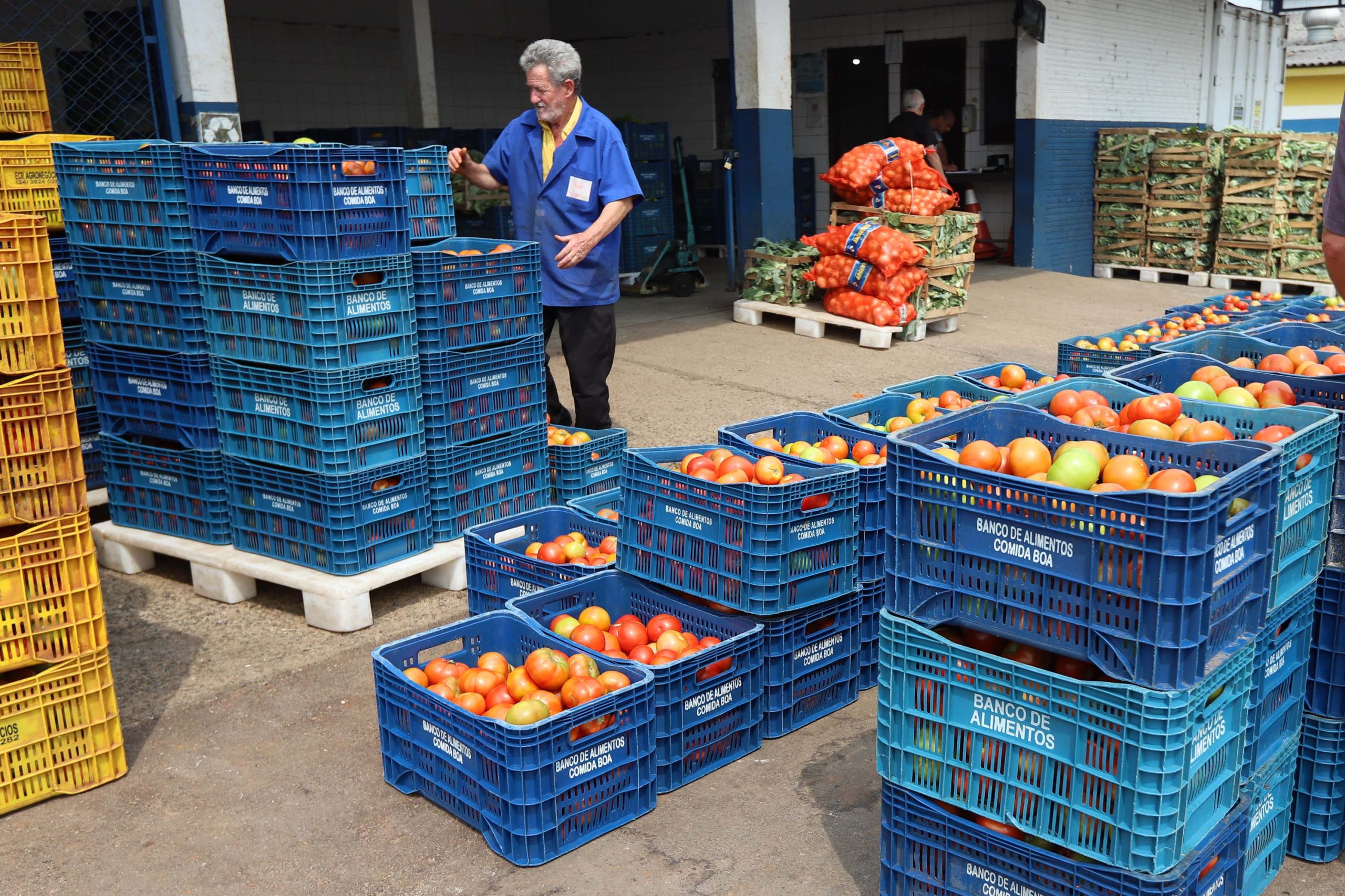 Segurança Alimentar