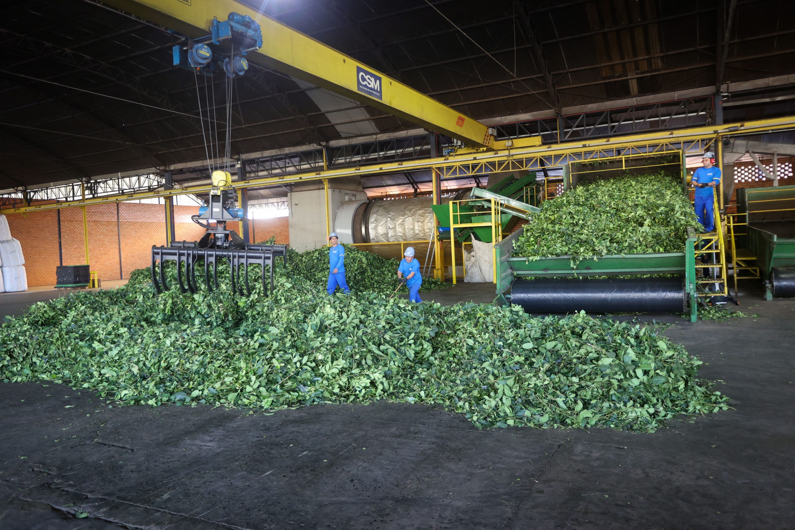 Crédito: Gilson Abreu/Arquivo AEN