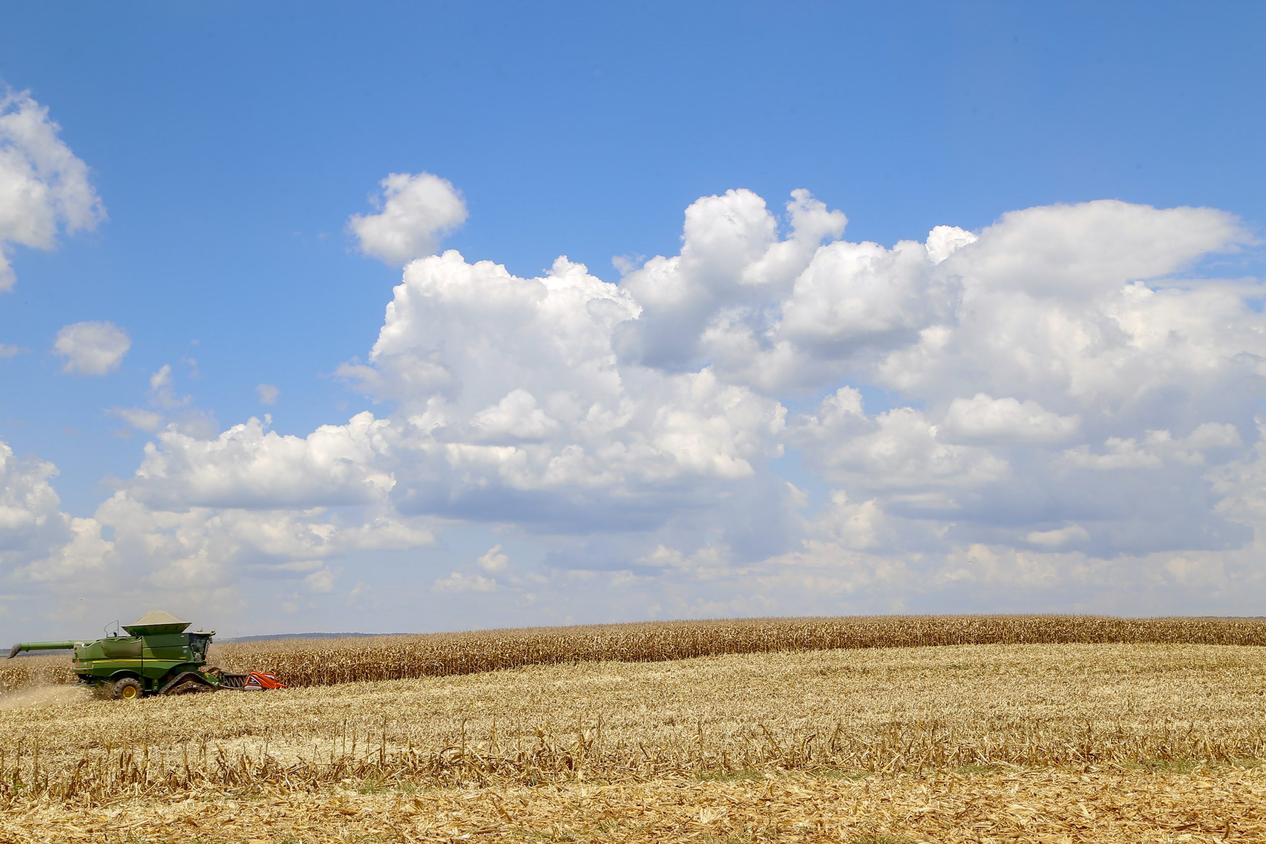 O Valor Adicionado Bruto (VAB) do Paraná foi de R$ 591,7 bilhões em 2023 Crédito: Gilson Abreu/AEN