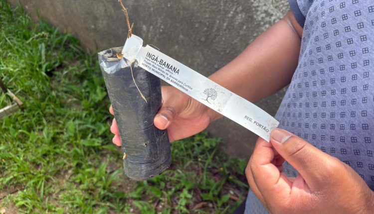 cultura afro-brasileira