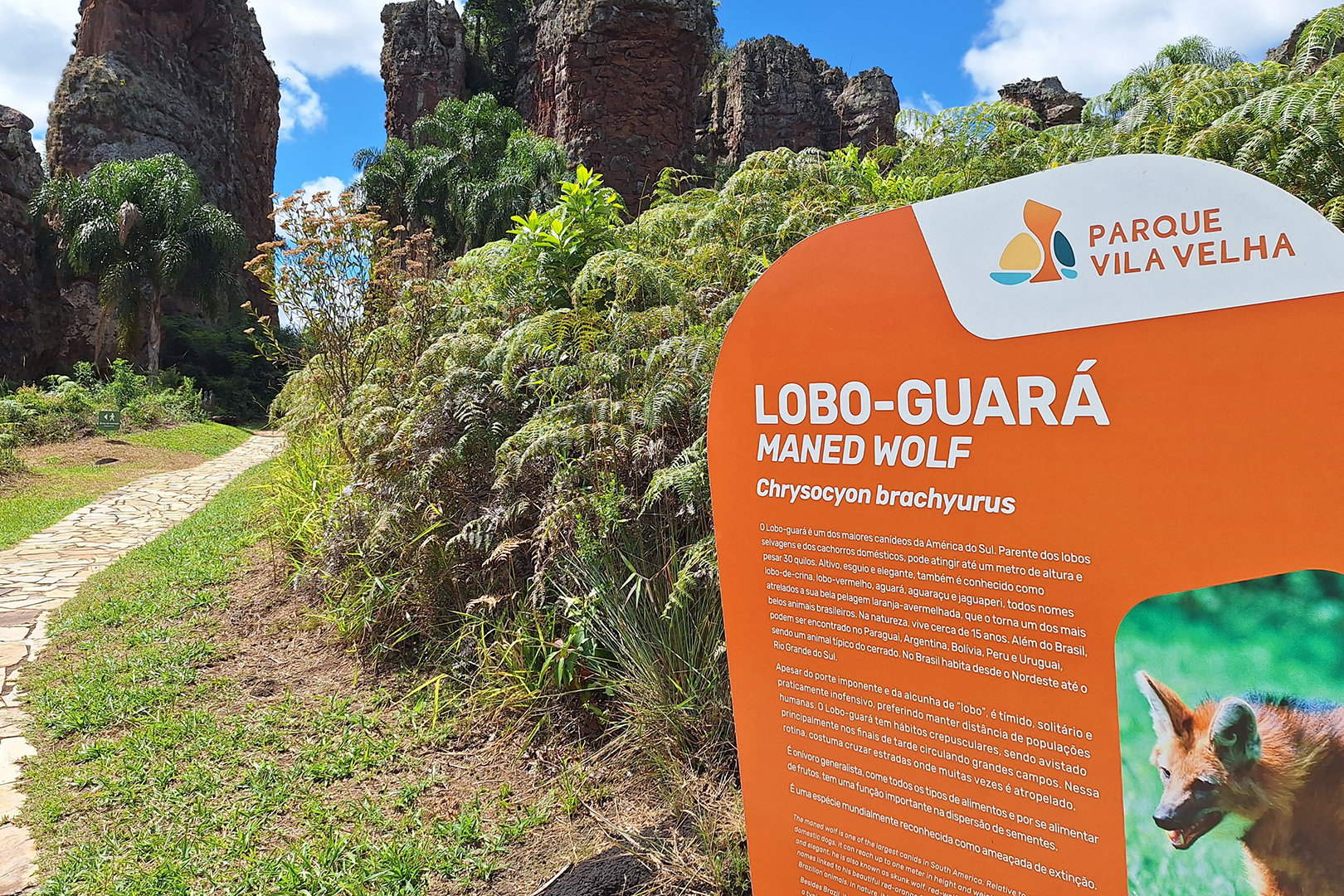 Crédito: Viaje Paraná