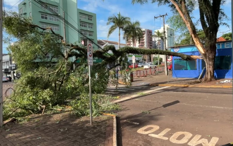 Estima-se que a via seja liberada até às 18 horas de terça-feira (02) Créditos: Reprodução / Prefeitura de Toledo