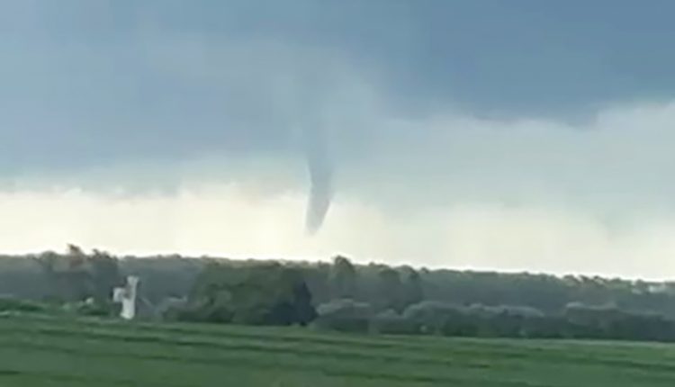 Crédito: Reprodução