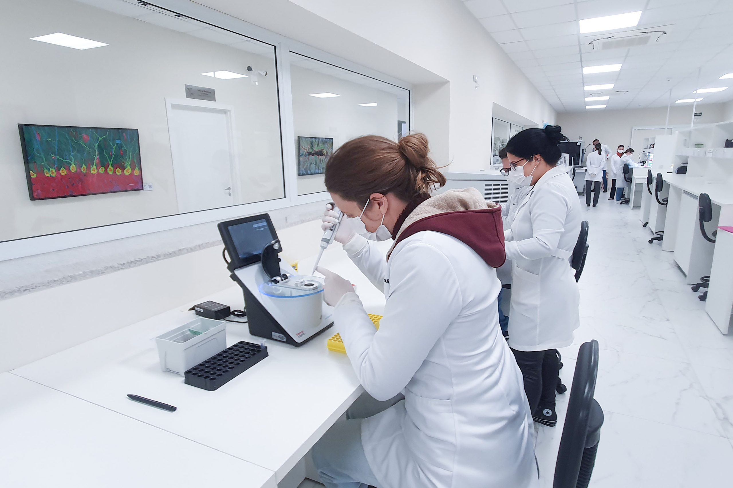 Crédito: Divulgação