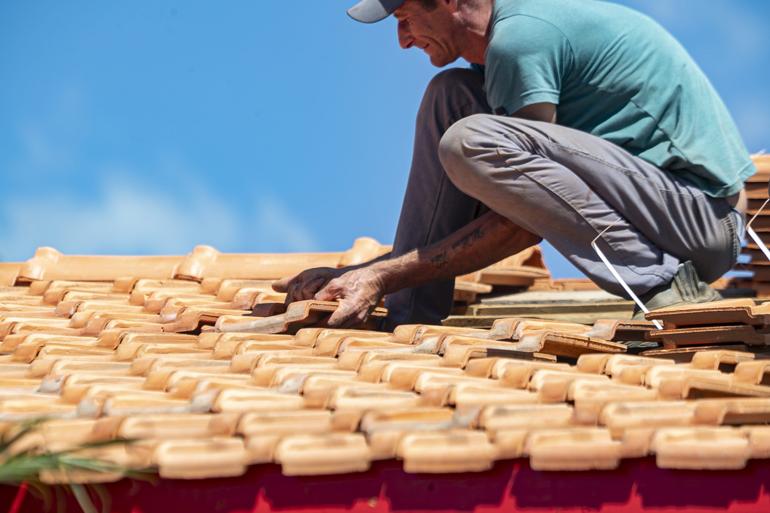 Crédito: Roberto Dziura Jr/AEN