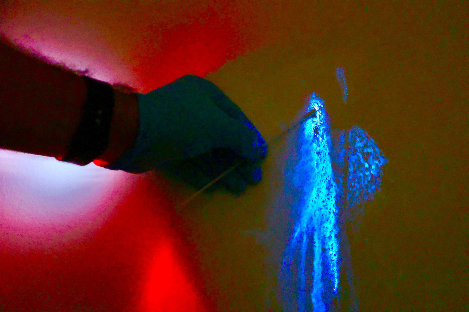 Crédito: Ricardo Almeida/SESP