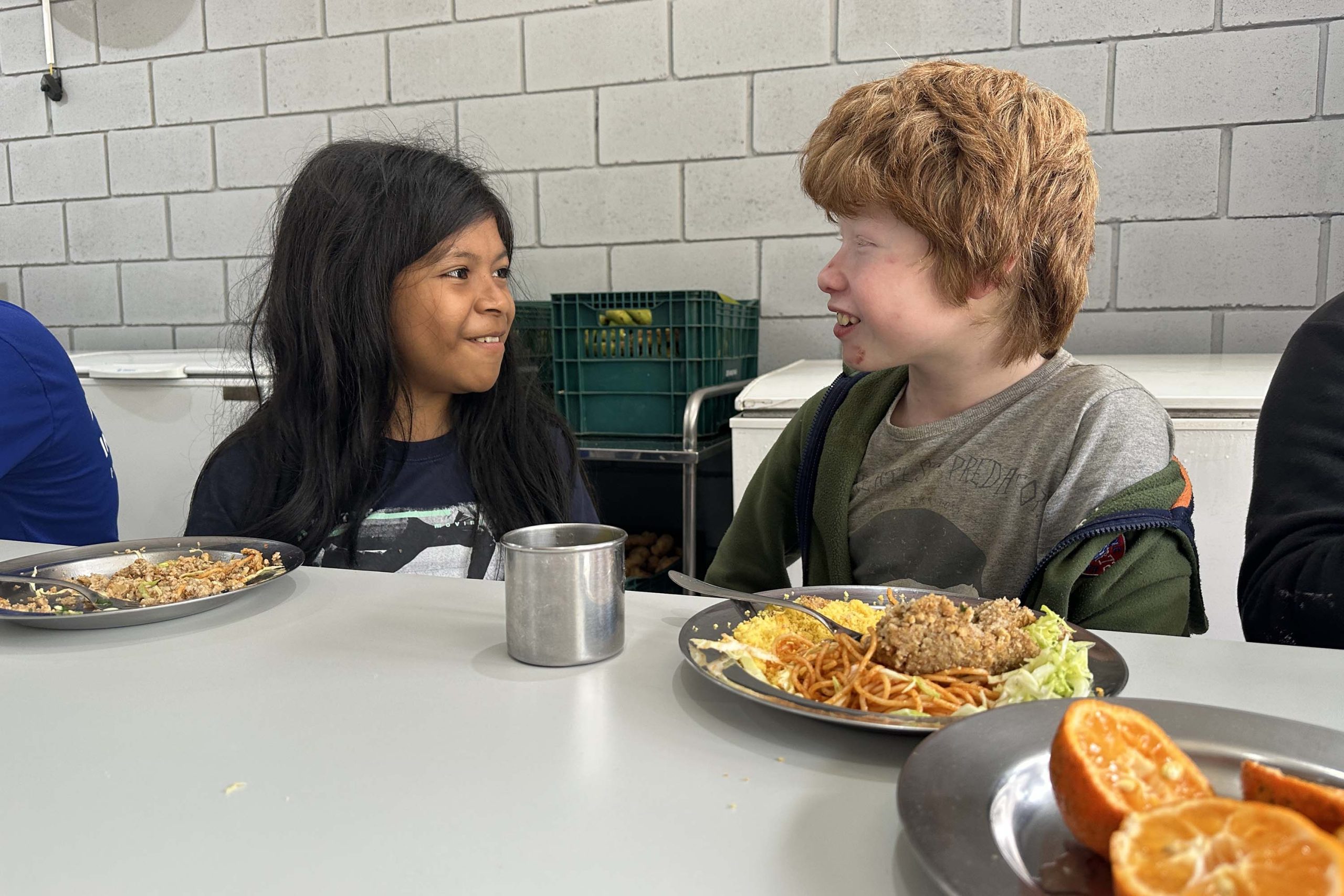 Alimentação escolar