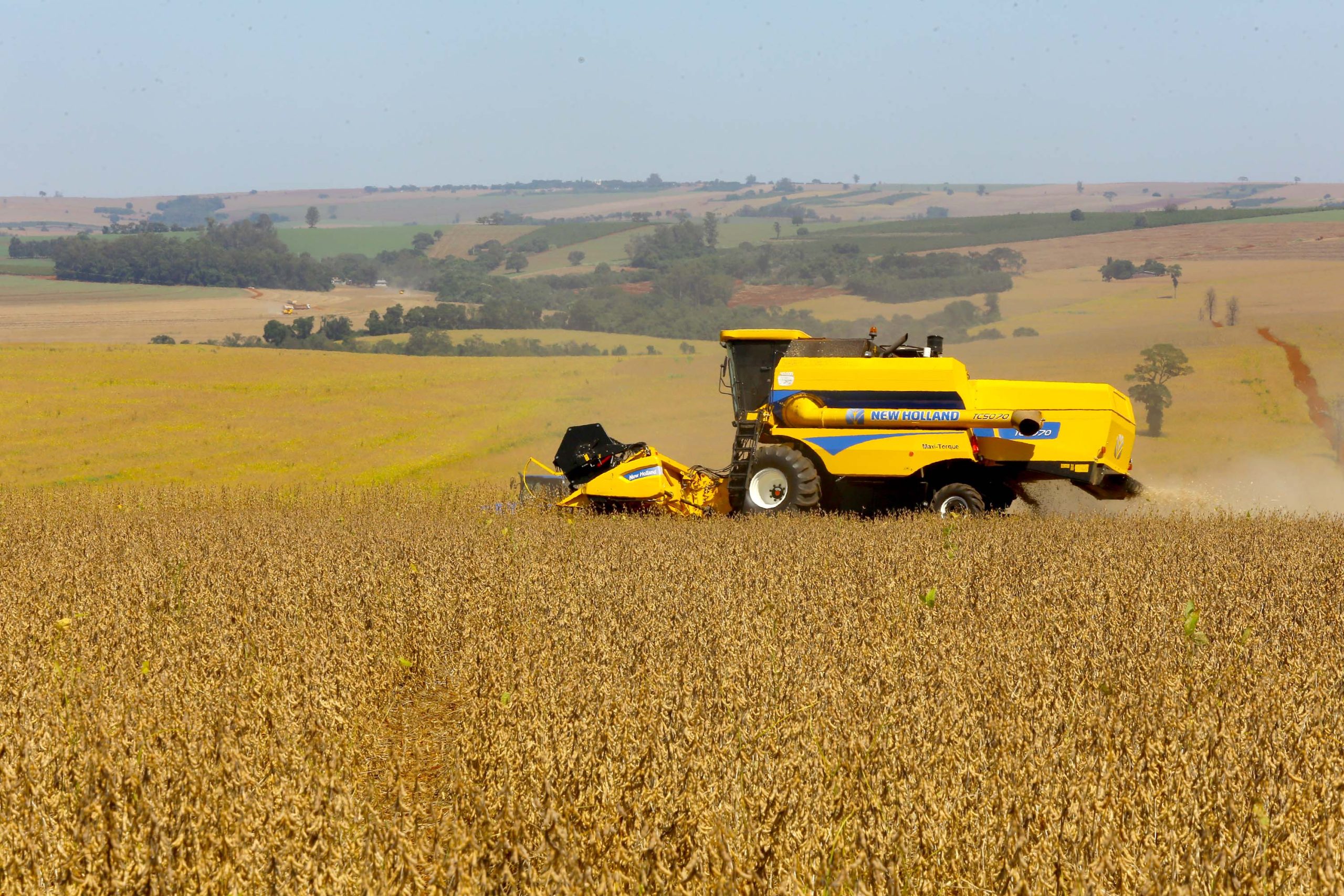 Crédito: Jaelson Lucas/Arquivo AEN