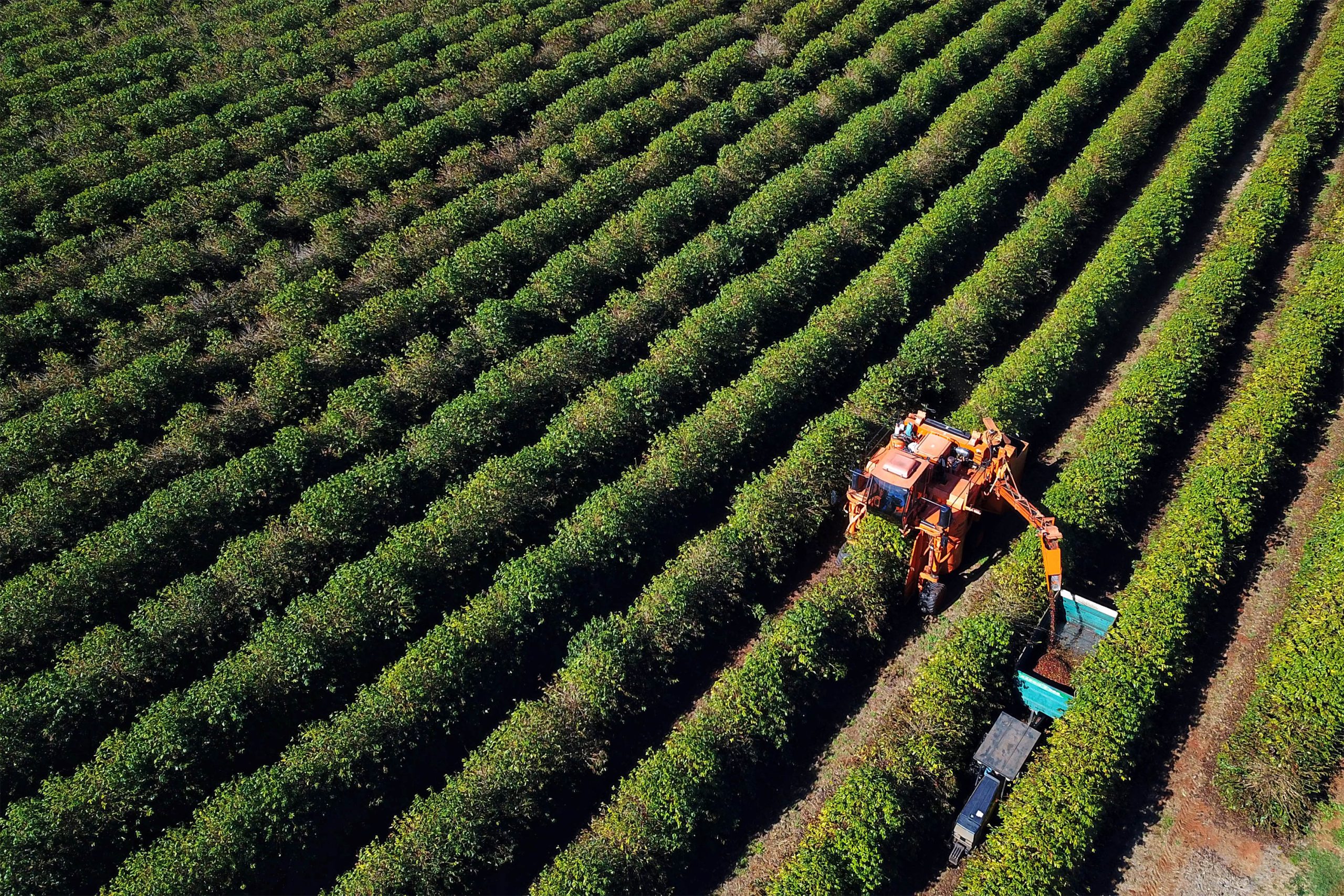 Crédito: José Fernando Ogura/Arquivo AEN