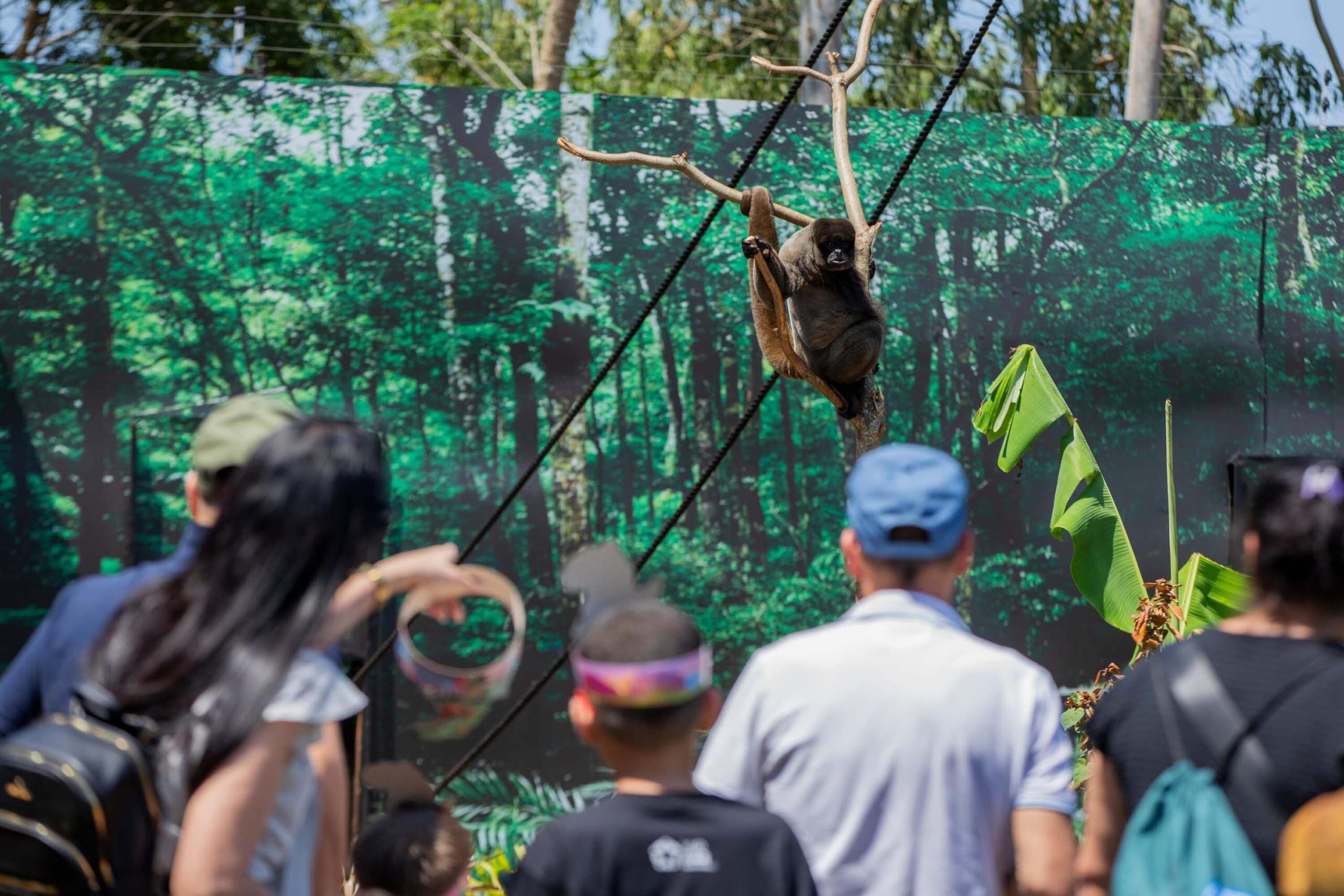 Crédito: Divulgação/Eco Park